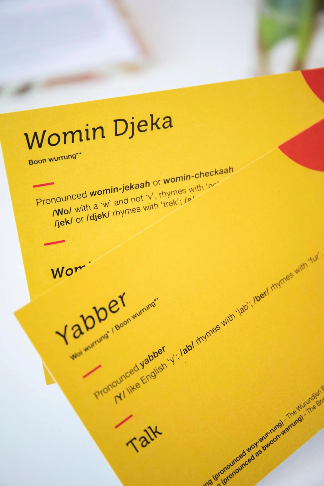 Indigenous Word Cards - Image 3