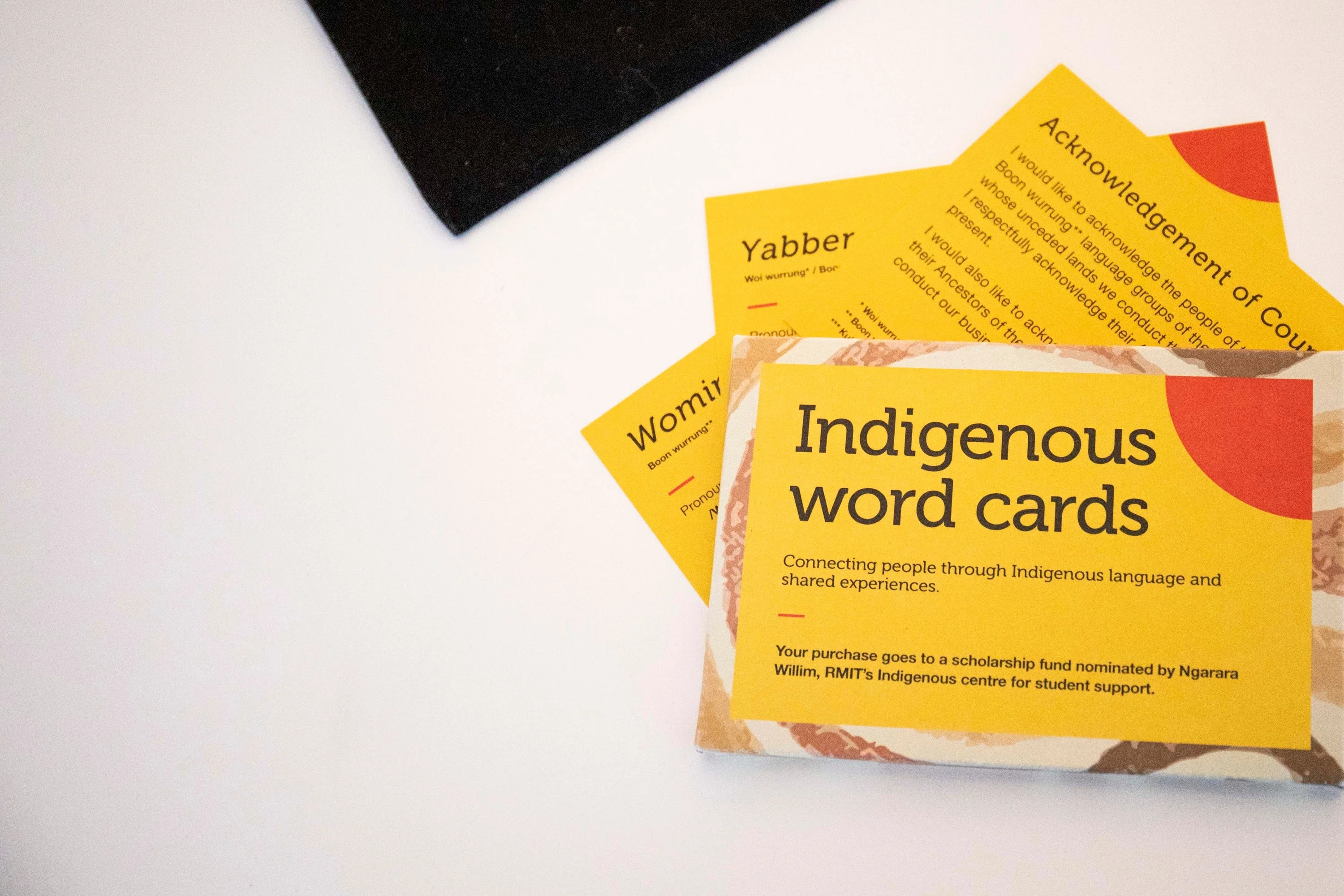 Indigenous Word Cards - Image 5